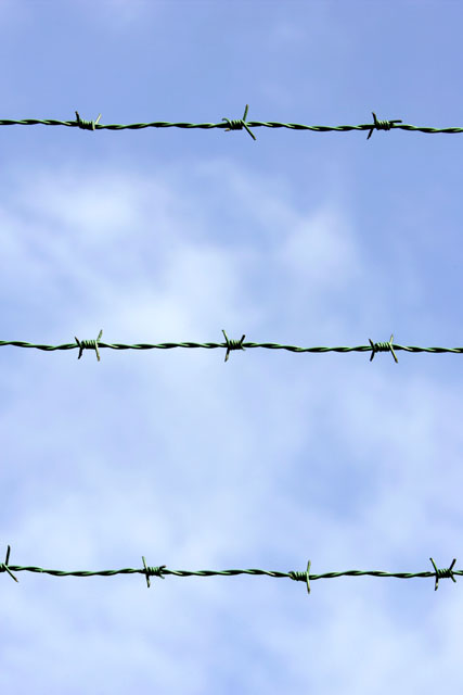 Barbed wire