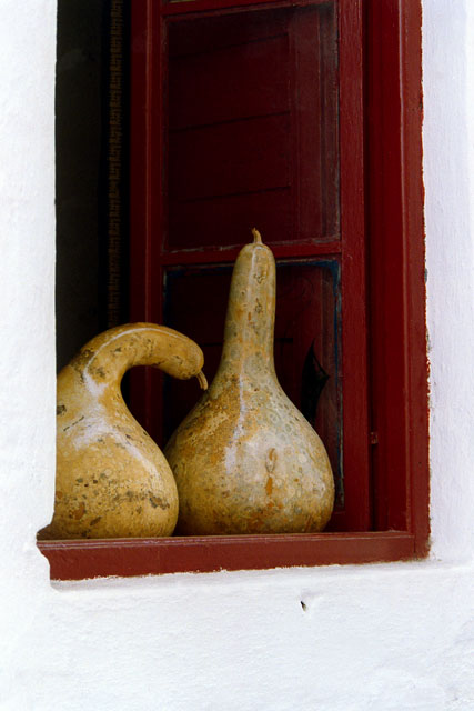 Long gourds