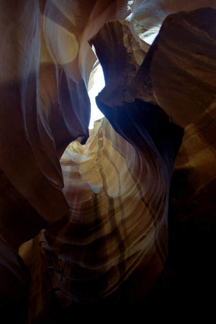 Slot Canyon Antelope