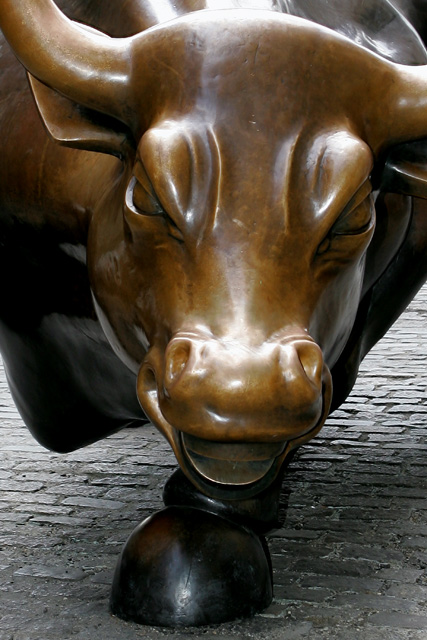Charging Bull