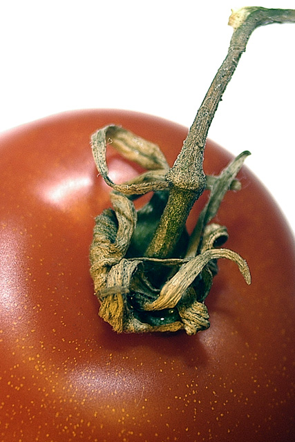 Tomato